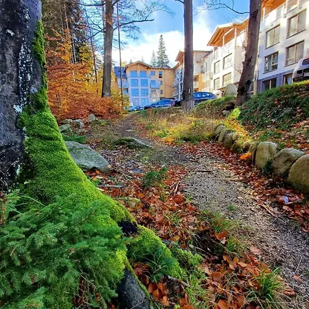 Kilinskiego 17a/9 Apartamento *